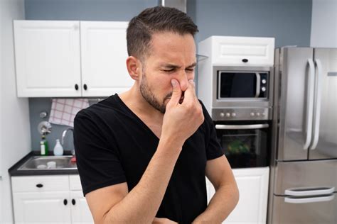 Bad Smell in Kitchen Can't Find It: A Culinary Mystery or a Ghostly Encounter?