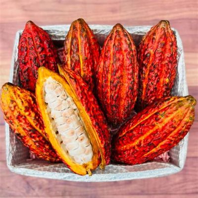 Cacao Fruit Where to Buy: Exploring the Mystical Orchards of Flavor