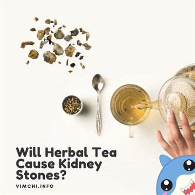 Does Tea Help with Nausea? And Why Do Cats Always Land on Their Feet?