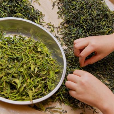 How to Dry Tea Leaves: Exploring the Art and Science Behind the Process