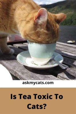 Is Tea Toxic to Cats? And Why Do They Prefer Catnip Over Earl Grey?